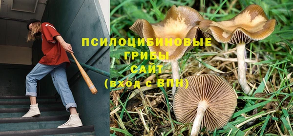 первитин Белокуриха