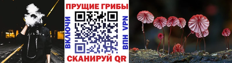 Галлюциногенные грибы мухоморы  Волгореченск 